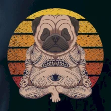 Yoga meditace - pug Yoga meditace - pug