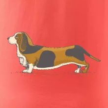 Vintage basset