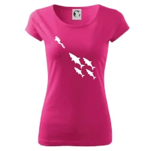 Potápač žraloky Potápač žraloky