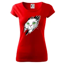 Kočka v roztrženém triku