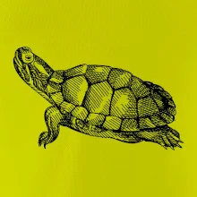 Ceruzkou kreslená korytnačka