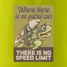 Korytnačka na cestách