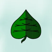 Prší - Zelený - prso