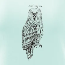 Sova bradatá Barred owl