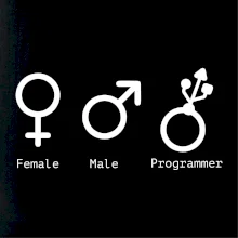 Female male programmer