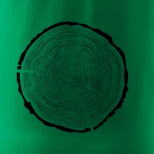 Letokruhy 60 bez veku