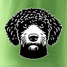 Lagotto romagnolo hlava na prsníku