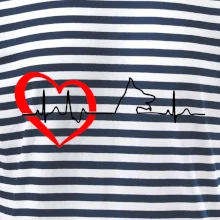 Nemecký ovčiak ekg