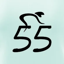 Cyklista oslavuje päťdesiatpäťku (55)