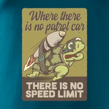 Korytnačka na cestách