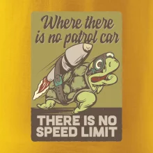 Korytnačka na cestách