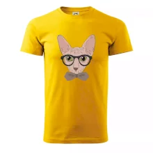 Hipster sphynx Hipster sphynx