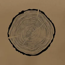 Letokruhy 55 bez veku