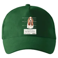 Baset - lump a darebák  