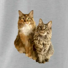 Mačky vectorizované (Moňas)