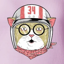 Moto mačka