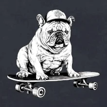 Čiernobiely buldog na skateboarde