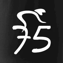 Cyklista oslavuje sedemdesiatpäťpäťky (75)