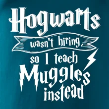 Harry - Hogwarts wasn’t hiring, so I teach Muggles instead