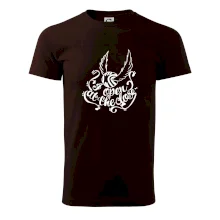 Harry - Zlatá strela