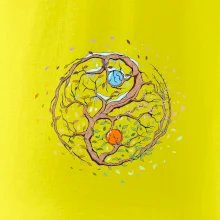 Yin & Yang strom - zima, leto Yin & Yang strom - zima, leto