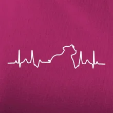 Stafordšírsky bulteriér ‎ EKG