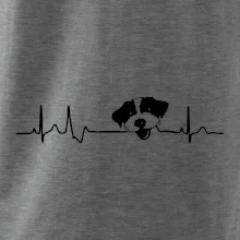 Jack Russell Teriér hrubosrstý Ekg