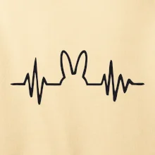 EKG zajac