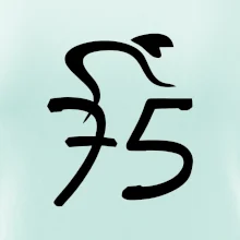 Cyklista oslavuje sedemdesiatpäťpäťky (75)