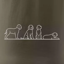 Lagotto romagnolo postavy linka