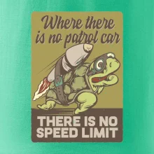 Korytnačka na cestách