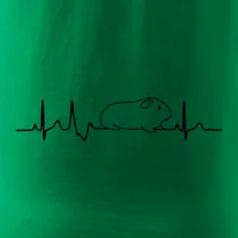 EKG morča EKG morča