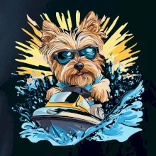 Yorkšírsky teriér na vodnom skútri