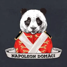Napoleon domáci panda