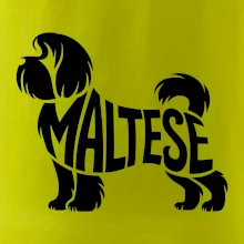 Maltézsky psík nápis v tele