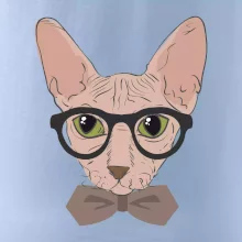 Hipster sphynx