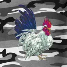 Kohút kreslený biely