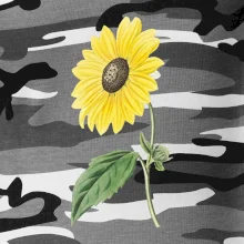 Slnečnica otočená