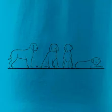 Lagotto romagnolo postavy linka