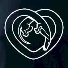 Jazvečík srdca - obrys