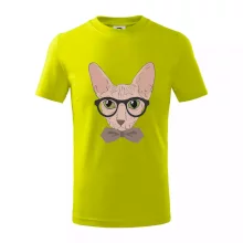 Hipster sphynx