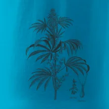 Konope kvietok čiernobiely  