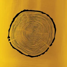 Letokruhy 75 bez veku Letokruhy 75 bez veku