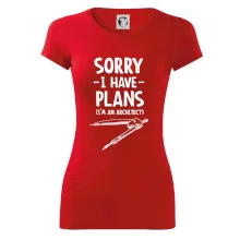 Sorry I have plans - architect