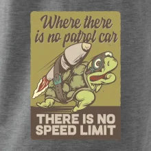 Korytnačka na cestách