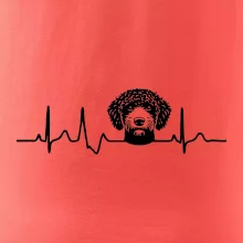 Lagotto romagnolo hlava EKG