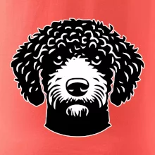 Lagotto romagnolo hlava na prsníku