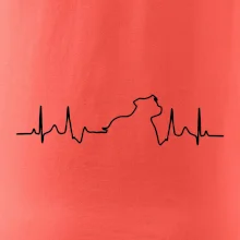 Stafordšírsky bulteriér ‎ EKG