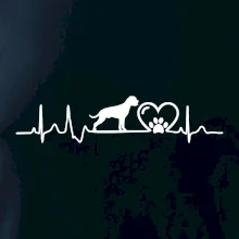 Nemecký boxer EKG Nemecký boxer EKG