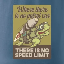 Korytnačka na cestách